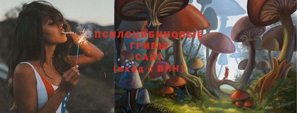 ешки Аркадак