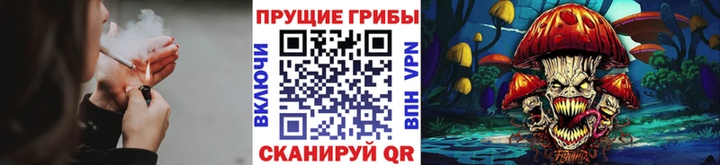 как найти закладки  Полевской  Псилоцибиновые грибы Cubensis 
